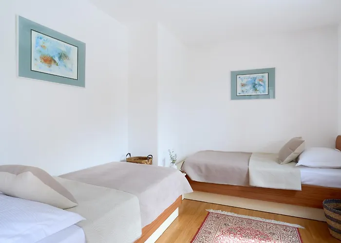 With Two Separate Four-bed Apartments, Private Pool, Grill And Garage Vila *